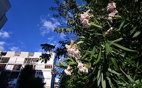 Apartment Paula
