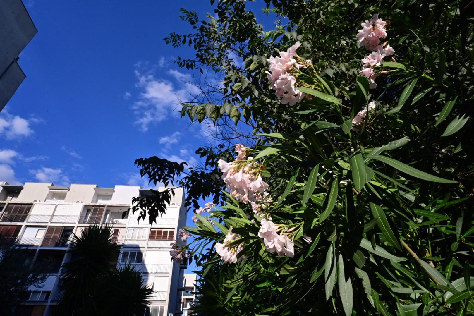 Apartment Paula Split Buitenkant foto